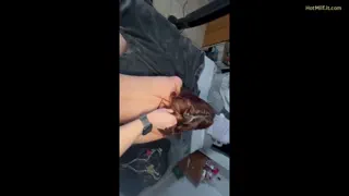 Preview at 00:01
