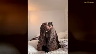 Preview at 00:03
