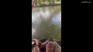 You Gonna Be a Good Boy for Mommy - Thick Tits POV Action