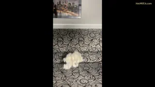 Preview at 00:01