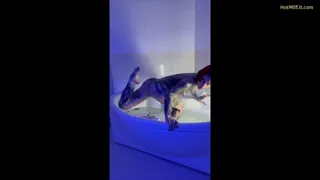 Preview at 00:18